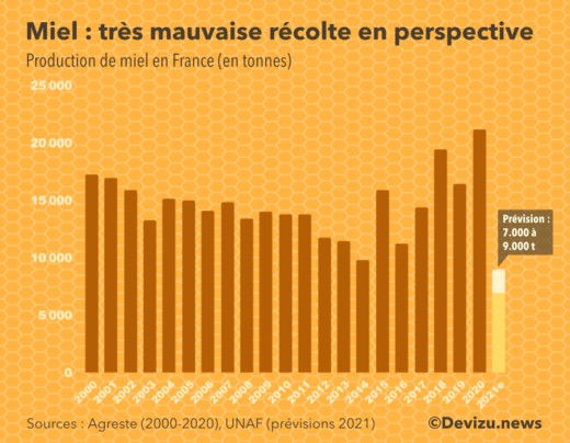 Graphique : évolution de la production de miel en France de 2000 à 2020 et estimation 2021