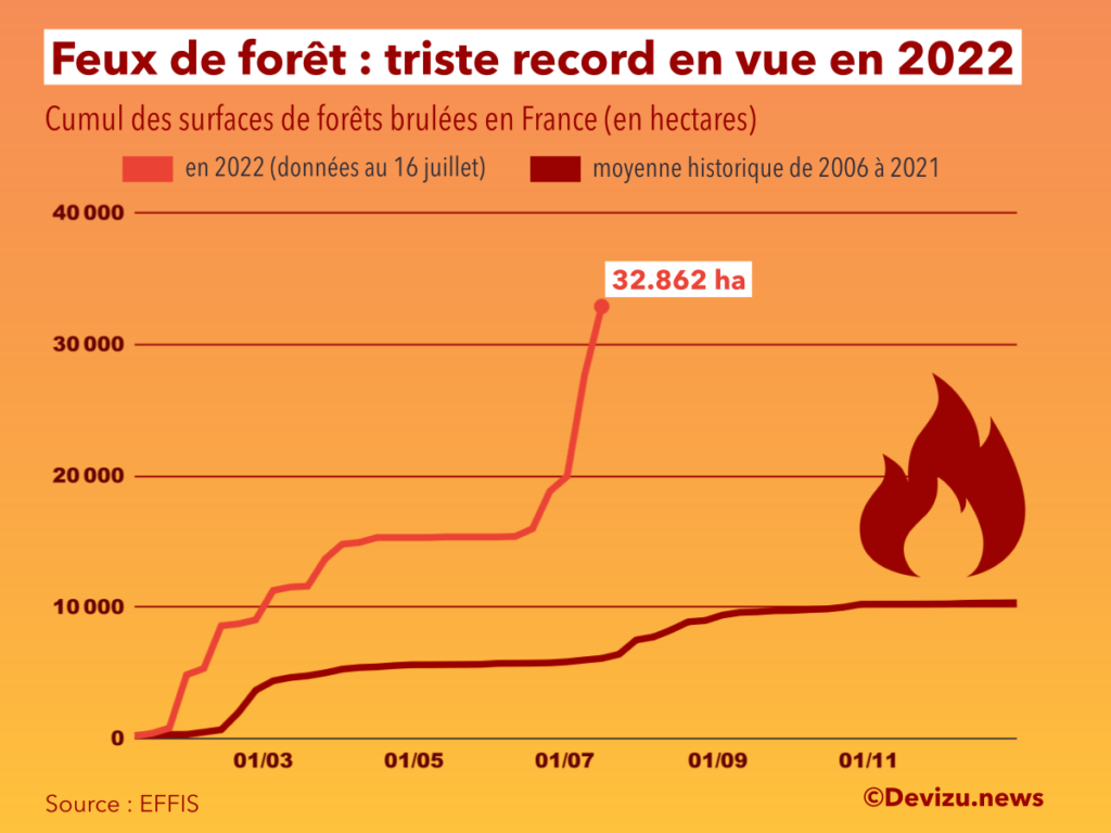 Feux de forêt en France cumul des surfaces brûlées en 2022